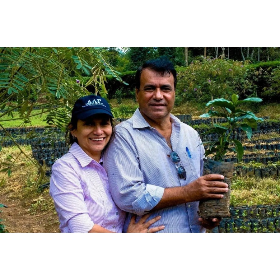 Beansmiths Nikaragua - Finca Aurora, 250g