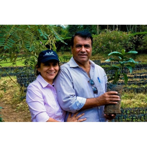 Beansmiths Nikaragua - Finca Aurora, 250g