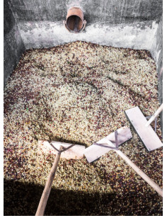 GourmetKáva Specialty – Kenya Kiri 250 g 2